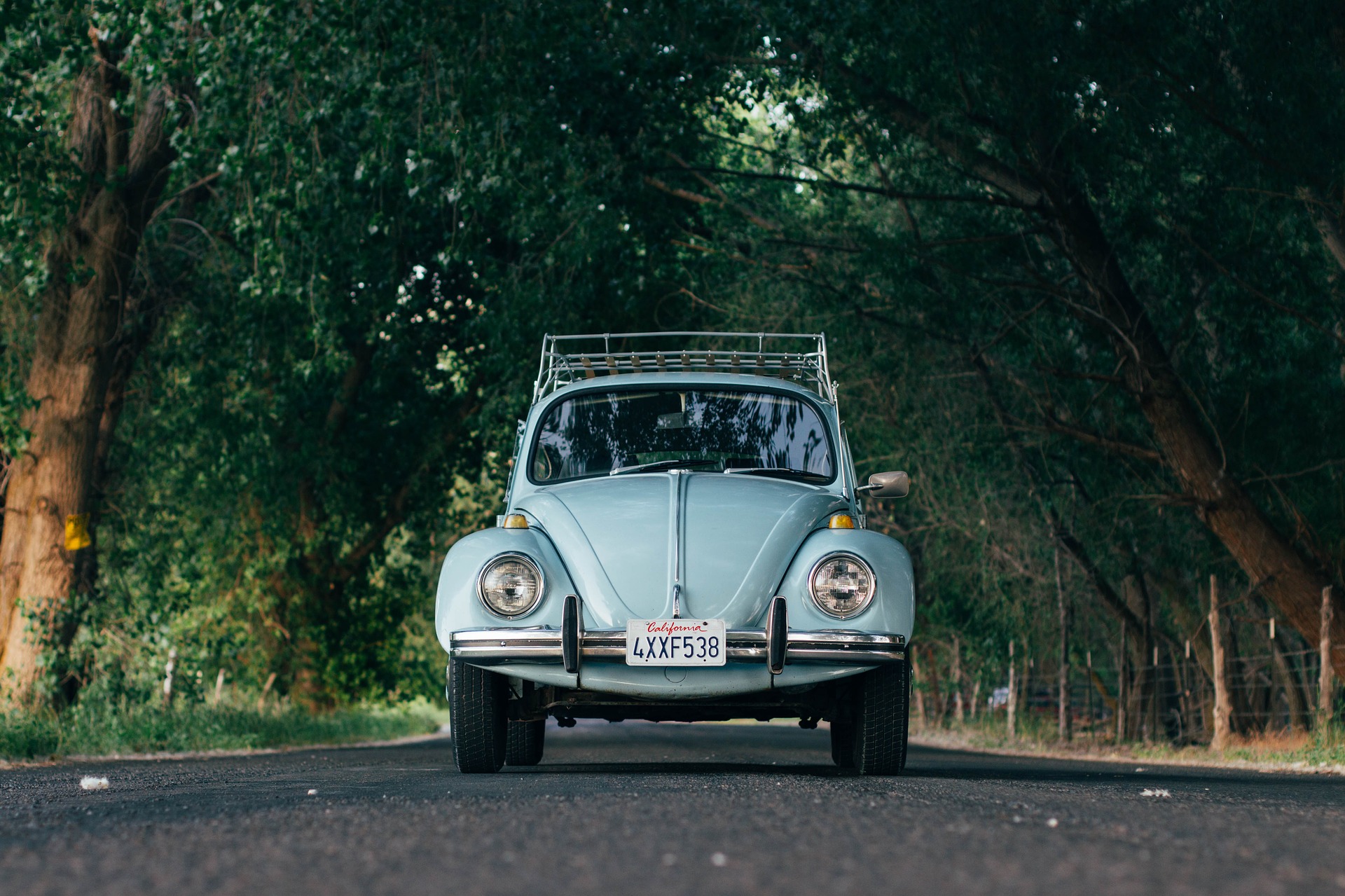 auto(7).jpg