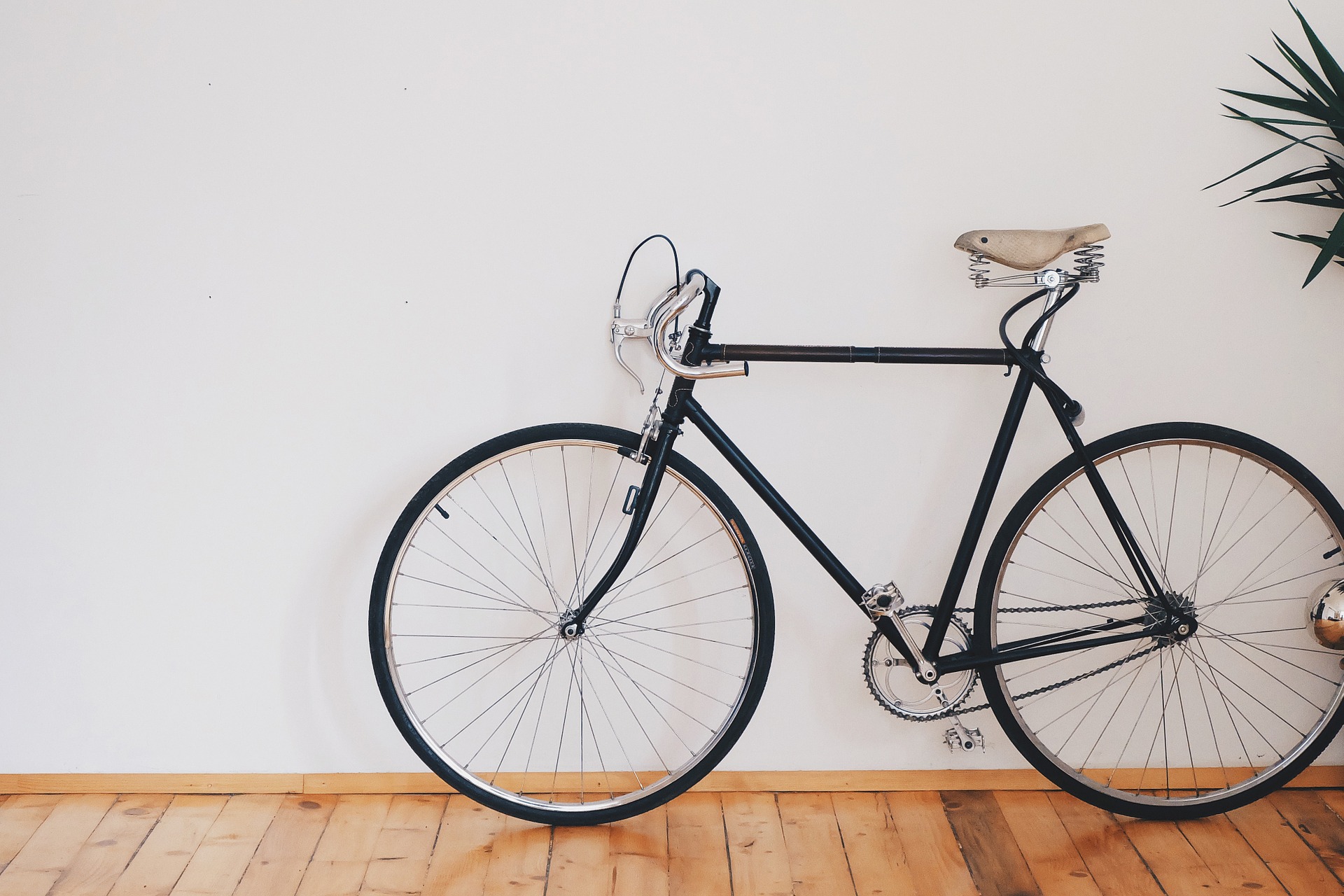 bici.jpg