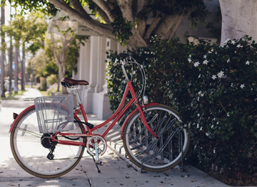 bicicletta.jpg