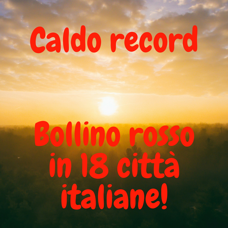 caldo_record.jpg