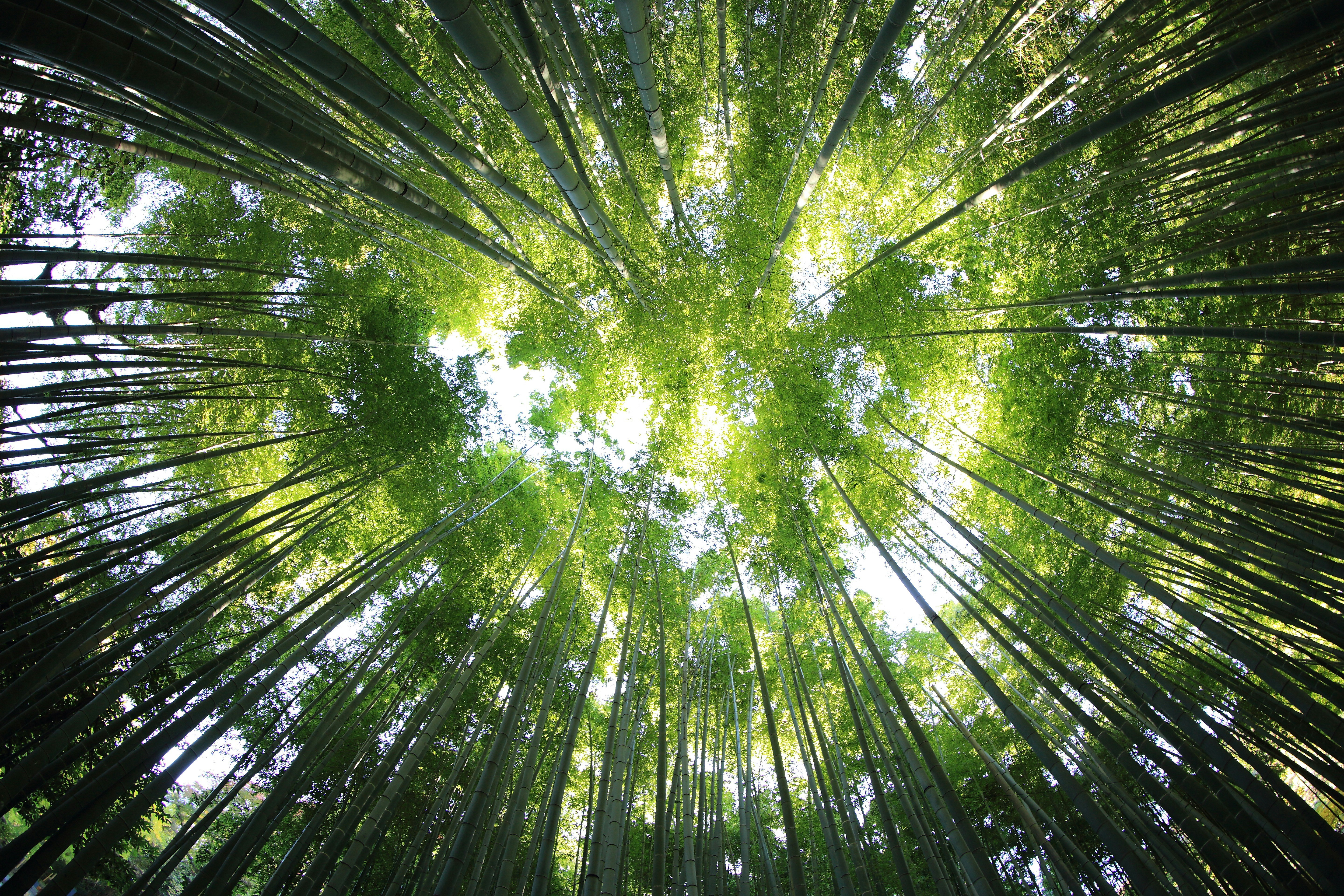 kazuend-19SC2oaVZW0-unsplash.jpg