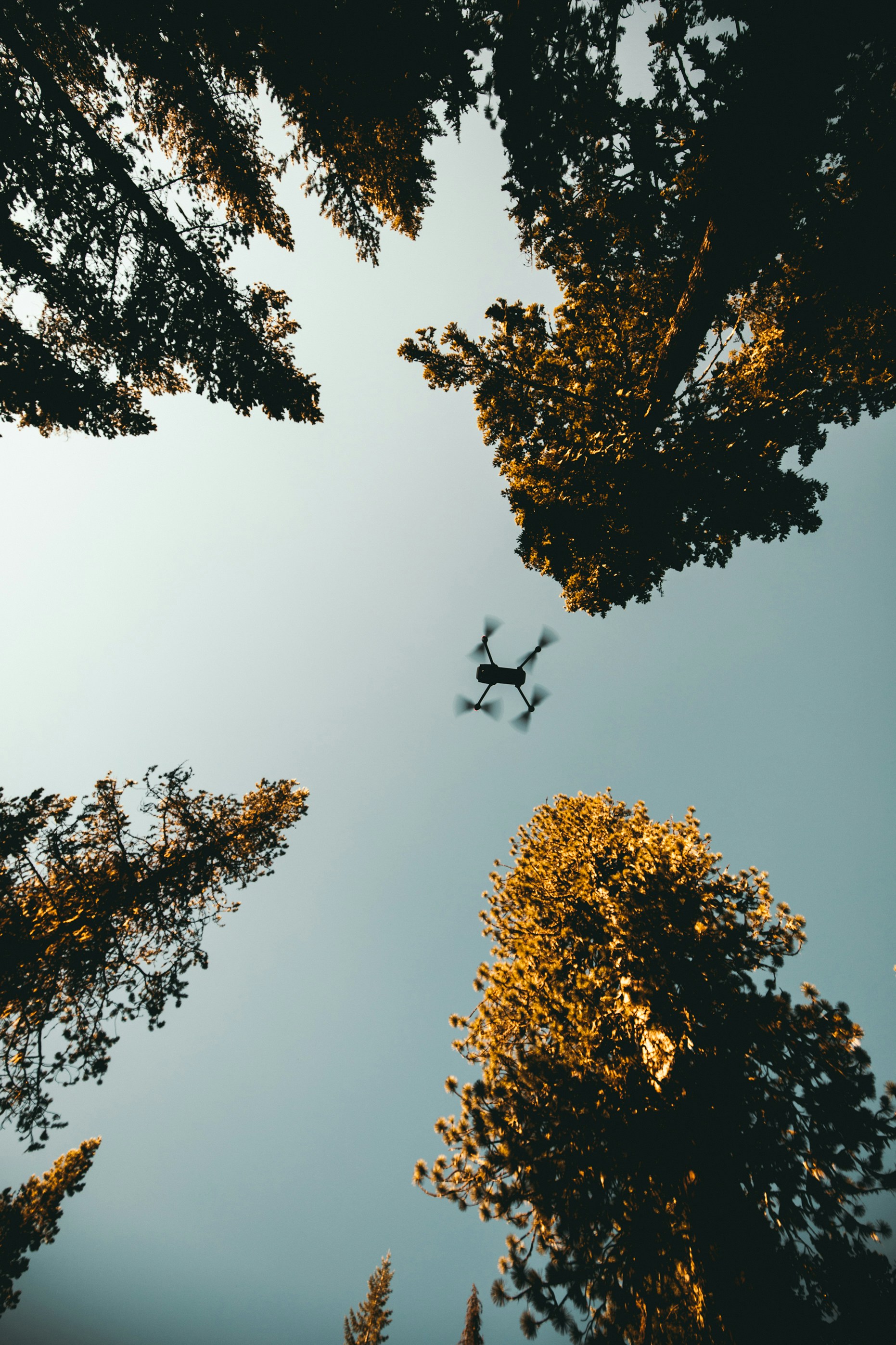 kyle-loftus-Ve7iqUNkGsA-unsplash.jpg