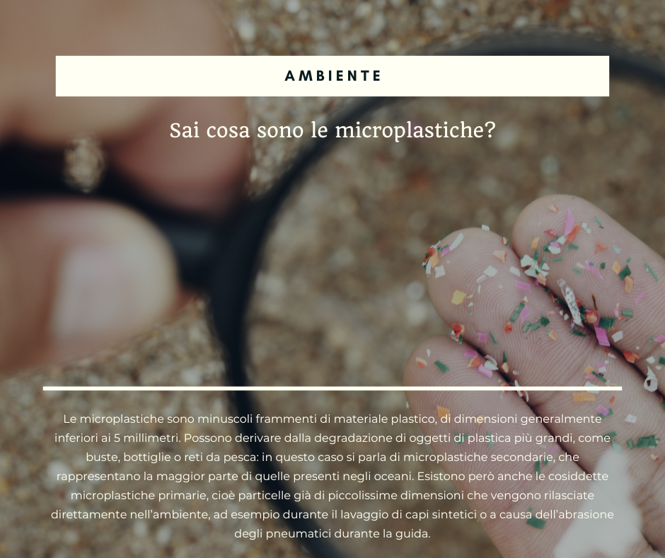microplastiche.png