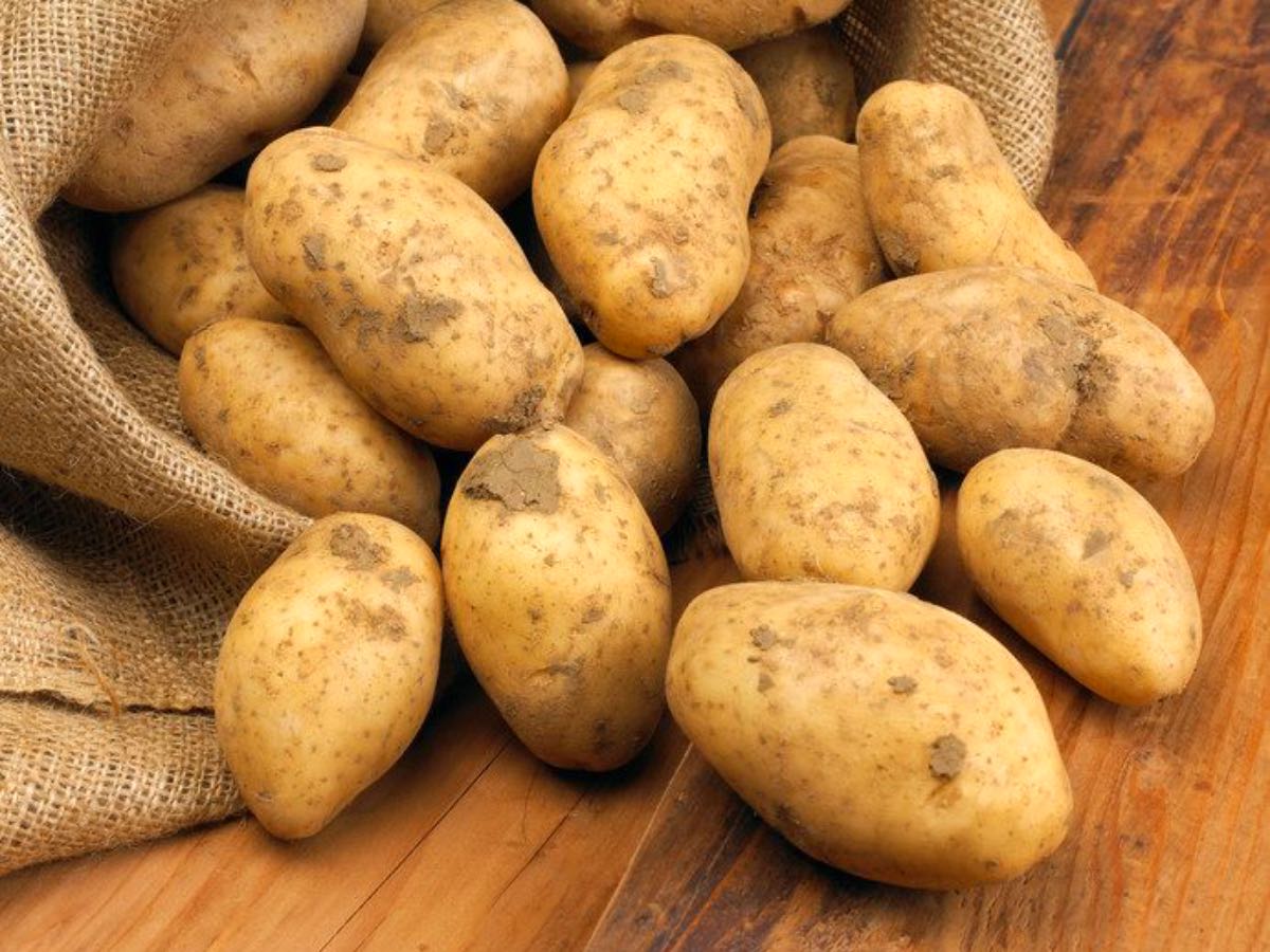 patate-3.jpg