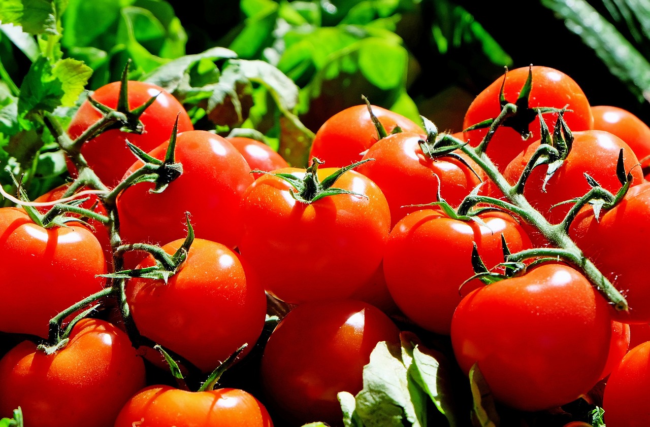 pomodori.jpg