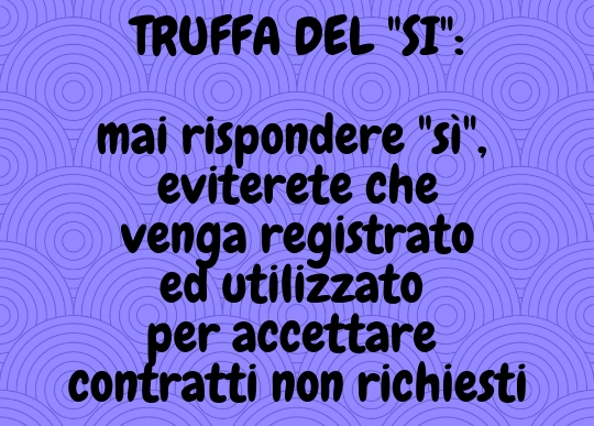 truffa_del_si.jpg