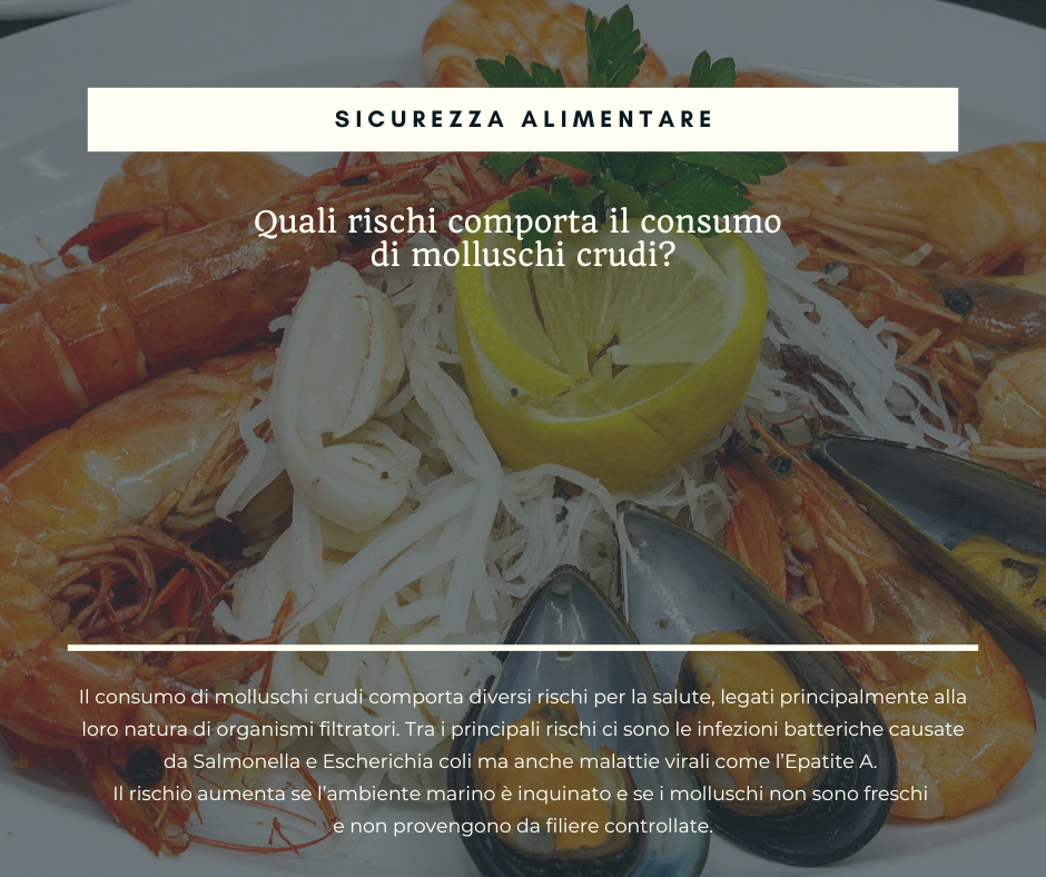 1 molluschi.png